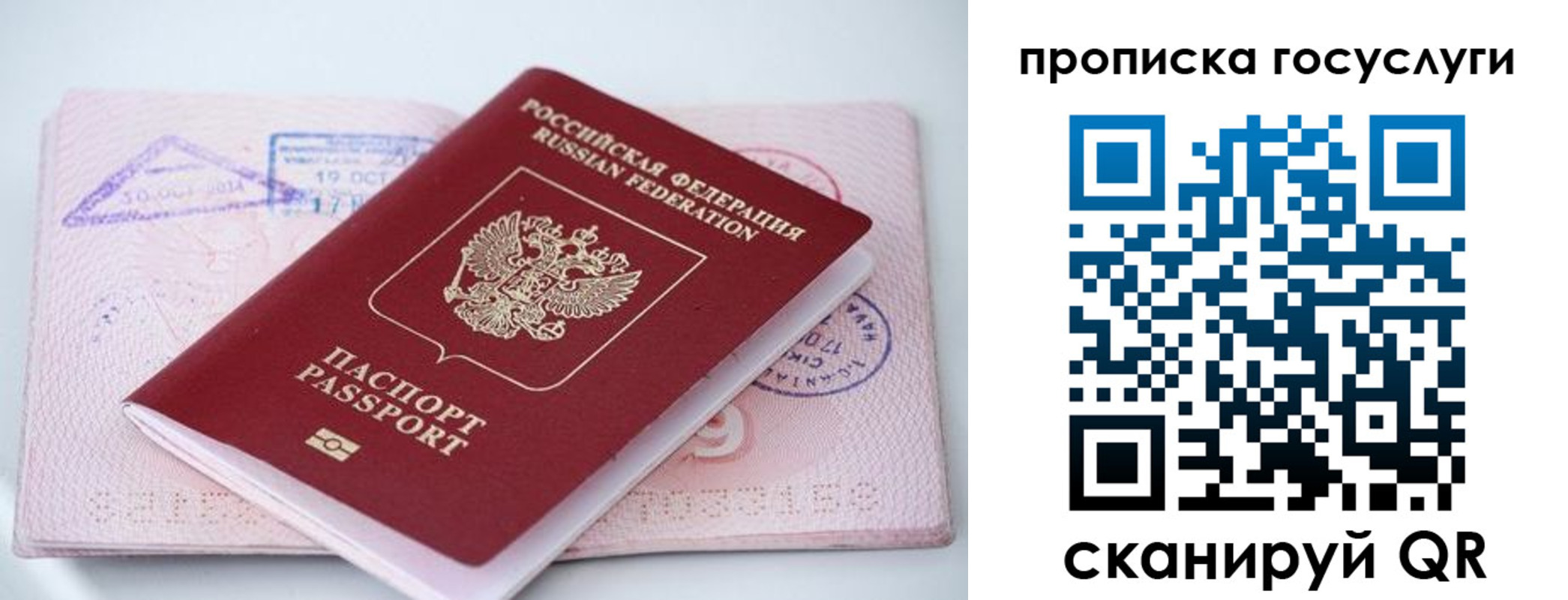 прописка законно в Осташкове